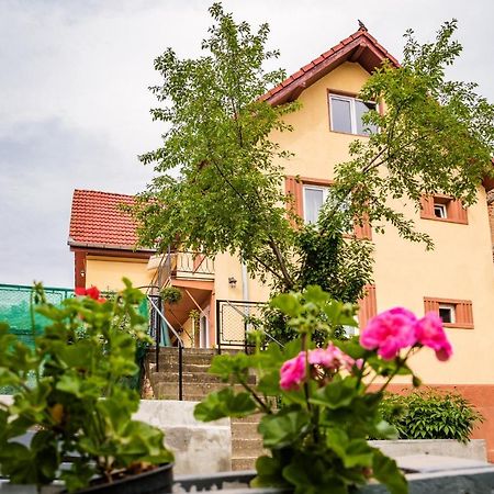 Gabi'S Home #1 Sighisoara Bagian luar foto