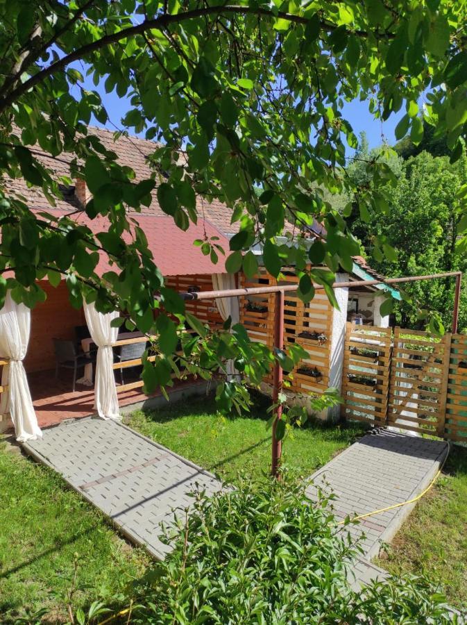 Gabi'S Home #1 Sighisoara Bagian luar foto