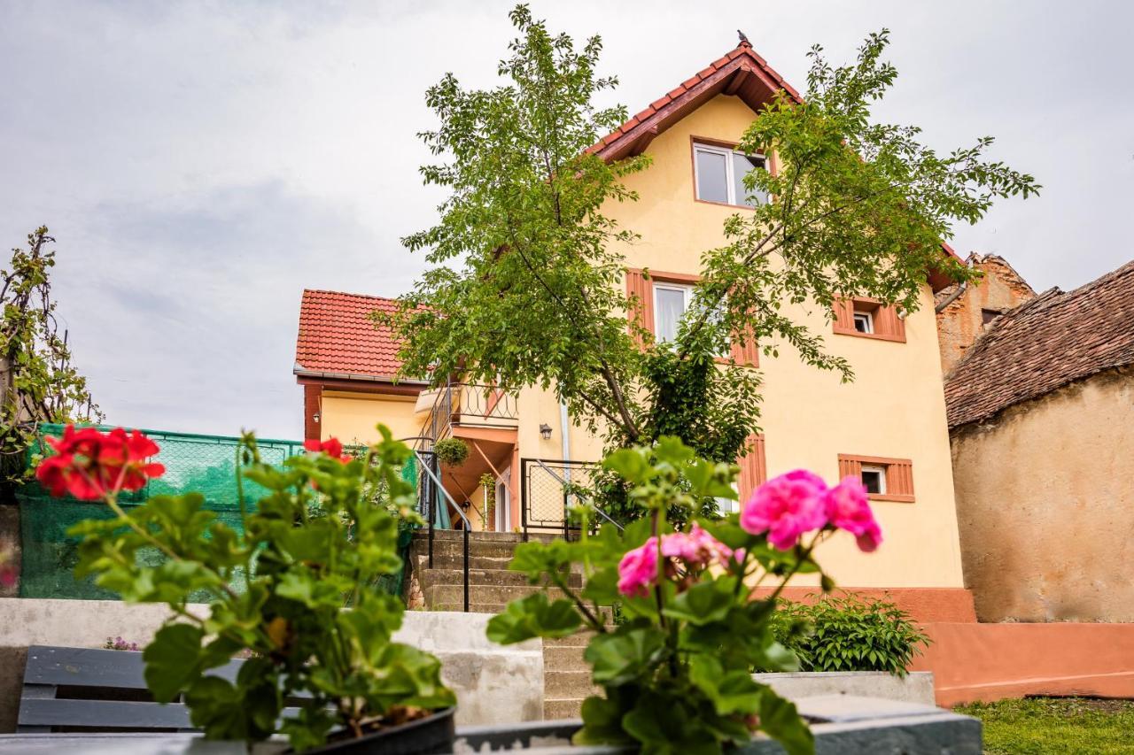 Gabi'S Home #1 Sighisoara Bagian luar foto